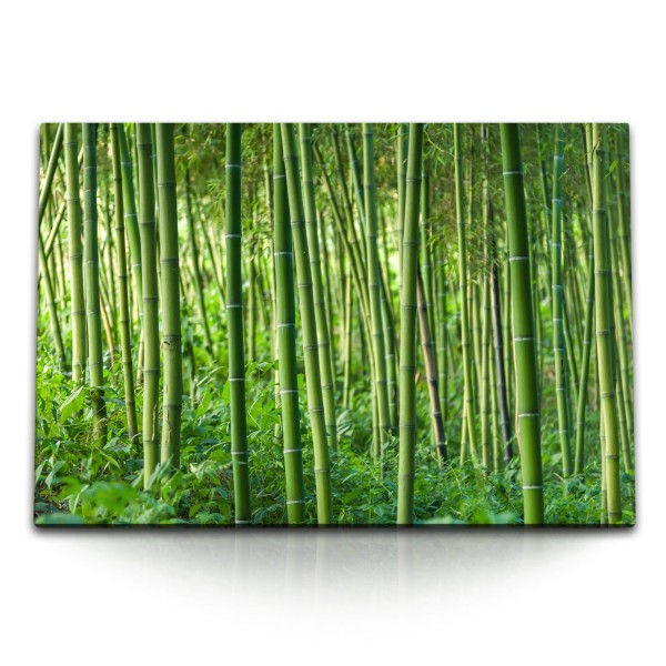 Paul Sinus Art 120x80cm Wandbild auf Leinwand Bambus Bambuswald Asien China Grün Natur