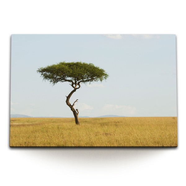 Paul Sinus Art 120x80cm Wandbild auf Leinwand Baum Steppe Graslandschaft Natur Horizont