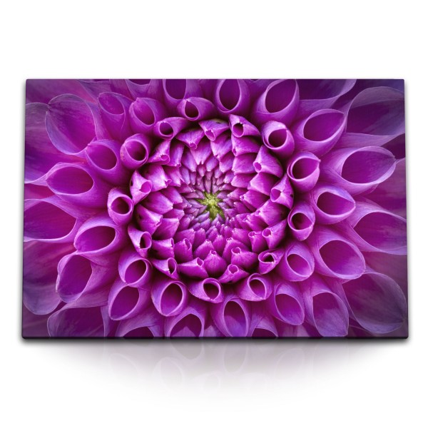 Paul Sinus Art 120x80cm Wandbild auf Leinwand Dahlie Blume Violett Nahaufnahme Kunstvoll