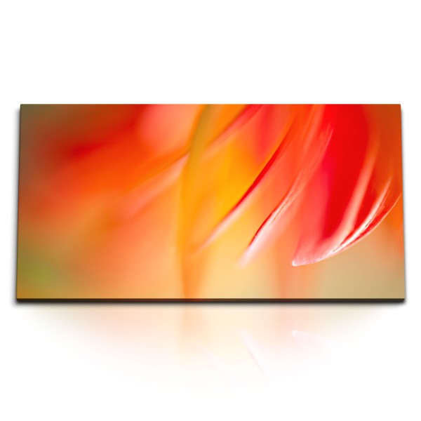 Paul Sinus Art Kunstdruck Bilder 120x60cm Makrofotografie Blüte Blume Rot Orange Kunstvoll