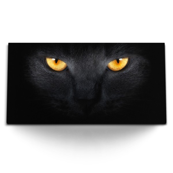 Paul Sinus Art Kunstdruck Bilder 120x60cm Schwarze Katze Katzenaugen Porträt Tierfotografie