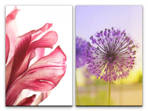 Paul Sinus Art 2 Bilder je 60x90cm Blume Makro Pusteblume Sommer Sonnenschein Rot Violett