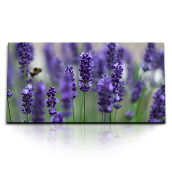 Paul Sinus Art Kunstdruck Bilder 120x60cm Lavendel Lila Sommer Wildblumen Natur