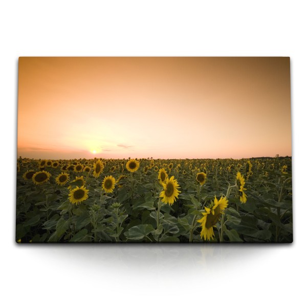 Paul Sinus Art 120x80cm Wandbild auf Leinwand Sonnenblumen Sonnenblumenfeld Horizont Abendröte