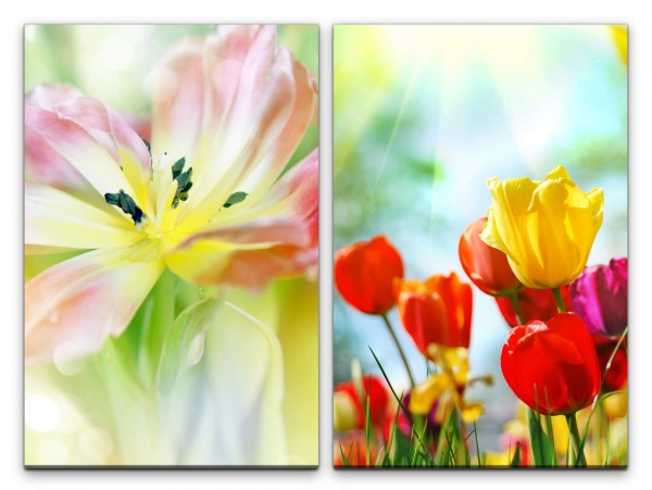 Paul Sinus Art 2 Bilder je 60x90cm Blumen Blüte Sommer Sonnenschein Tulpen Bunt