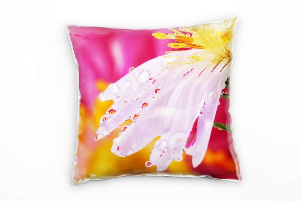 Paul Sinus Art Blumen, Macro, bunt, Blume mit Tautropfen Deko Kissen 40x40cm für Couch Sofa Lounge Zierkissen