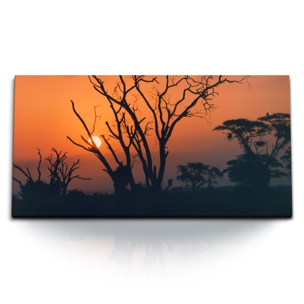 Kunstdruck Bilder 120x60cm Afrikanische Landschaft Sonnenuntergang Bäume Afrika