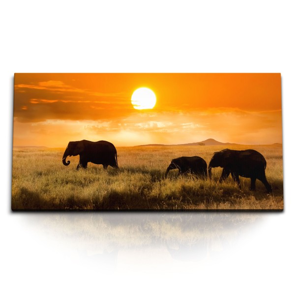 Paul Sinus Art Kunstdruck Bilder 120x60cm Afrikanische Landschaft Elefanten Tierfotografie Safari