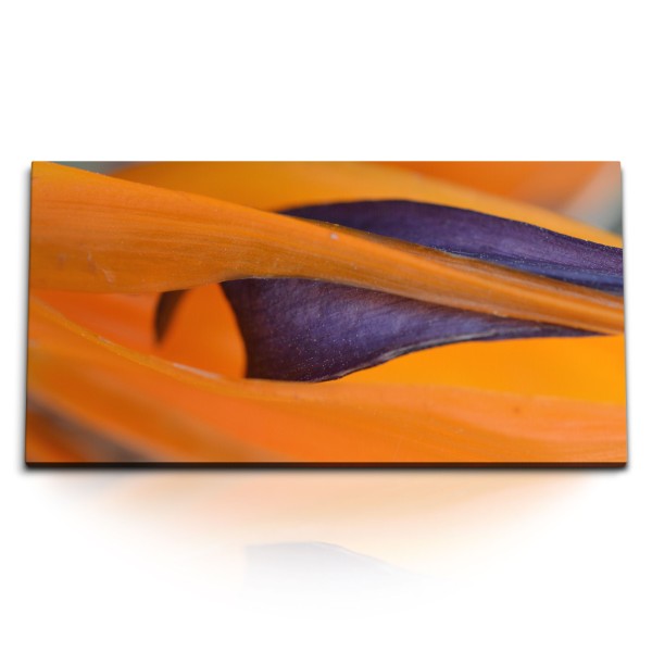 Paul Sinus Art Kunstdruck Bilder 120x60cm Exotische Blume Nahaufnahme Orange Dekorativ