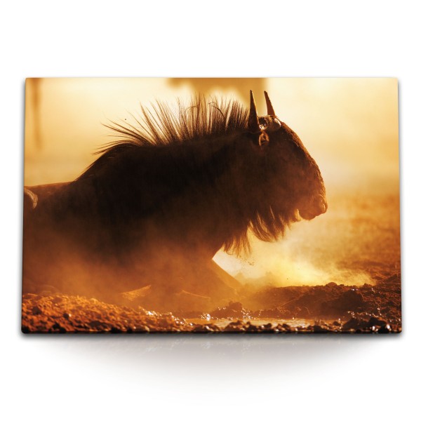 Paul Sinus Art 120x80cm Wandbild auf Leinwand Afrika Wildnis Tierfotografie Gnu Sand Bulle