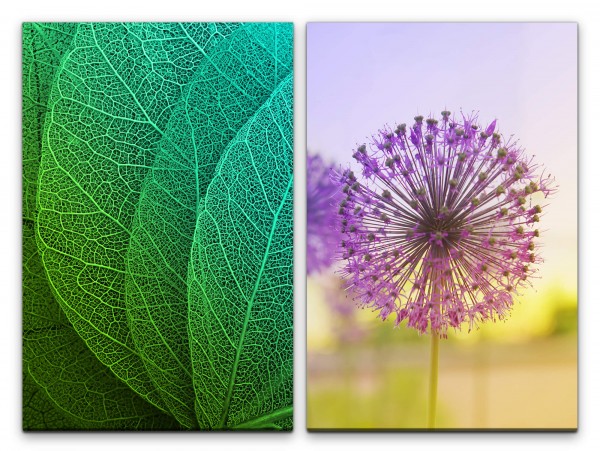 Paul Sinus Art 2 Bilder je 60x90cm Blätter Blattadern Grün Pflanze Pusteblume Sommer Makrofotografie