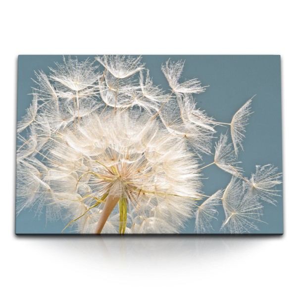 Paul Sinus Art 120x80cm Wandbild auf Leinwand Pusteblume Löwenzahn Türkis Nahaufnahme Blume