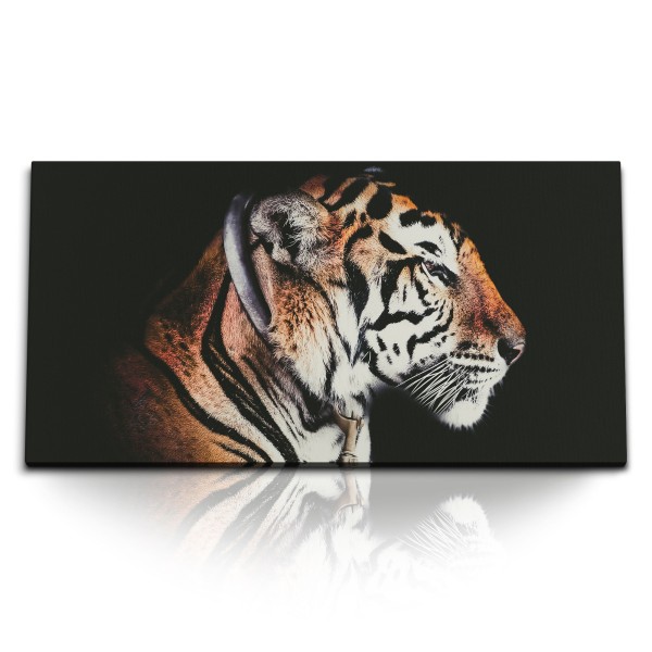 Paul Sinus Art Kunstdruck Bilder 120x60cm Tiger Raubkatze Raubtier Tierfotografie schwarzer Hintergrund