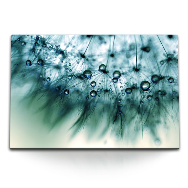 Paul Sinus Art 120x80cm Wandbild auf Leinwand Pusteblume Makrofotografie Fotokunst Wassertropfen