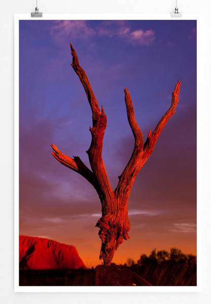 Paul Sinus Art Uluru bei Sonnenaufgang Australien 60x90cm Poster