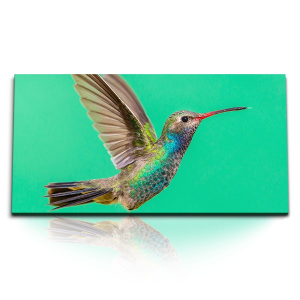 Paul Sinus Art Kunstdruck Bilder 120x60cm Kolibri exotischer Vogel Grün Farbenfroh Tierfotografie