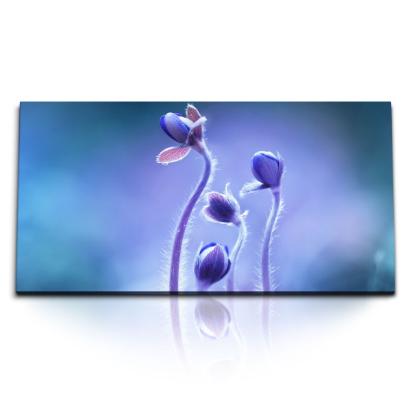 Paul Sinus Art Kunstdruck Bilder 120x60cm Blumen Blumenknospe Blau Hellblau Fotokunst