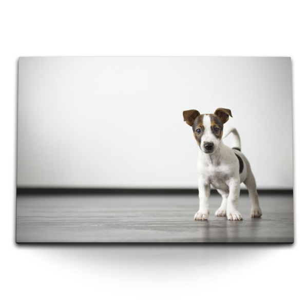 Paul Sinus Art 120x80cm Wandbild auf Leinwand Kleiner Welpe Hund Jack Russell Babyhund