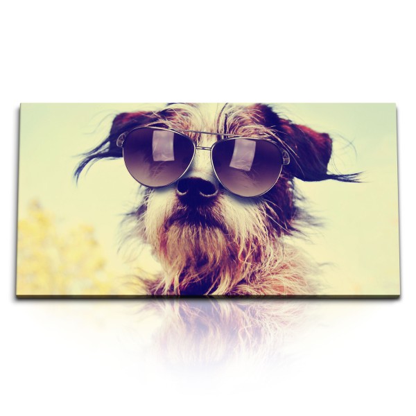 Paul Sinus Art Kunstdruck Bilder 120x60cm Kleiner Hund mit Sonnenbrille Sonnenschein Sommer