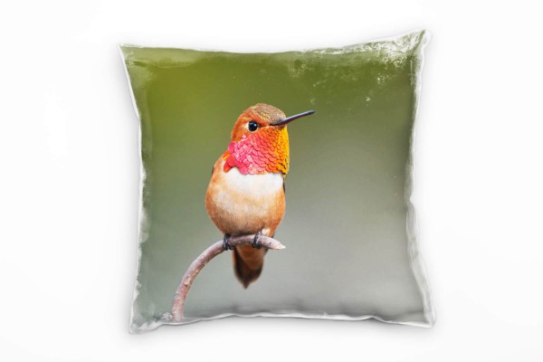 Paul Sinus Art Tiere, Kolibri, grün, rot, orange Deko Kissen 40x40cm für Couch Sofa Lounge Zierkissen