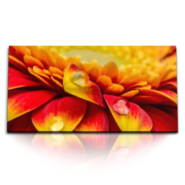 Paul Sinus Art Kunstdruck Bilder 120x60cm Blume Wassertropfen Makrofotografie Orange Rot