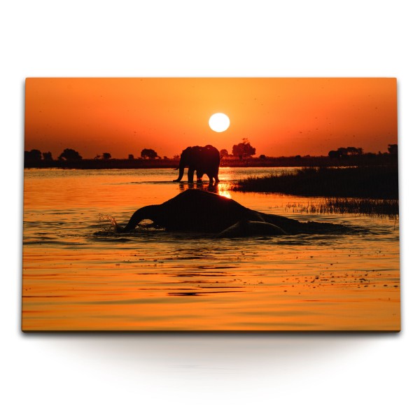 Paul Sinus Art 120x80cm Wandbild auf Leinwand Elefanten Thailand Fluss Sonnenuntergang Abendrot