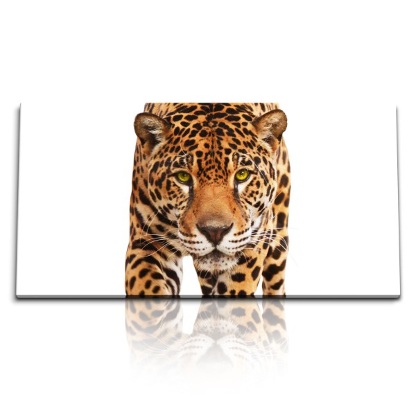 Paul Sinus Art Kunstdruck Bilder 120x60cm Jaguar Katze Tierfotografie Raubkatze Leopard