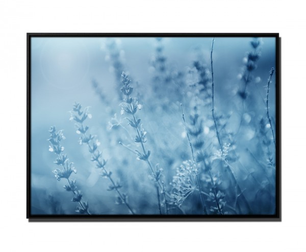 Paul Sinus Art 105x75cm Leinwandbild Petrol Nahaufnahme Wildblumen Sonnenuntergang