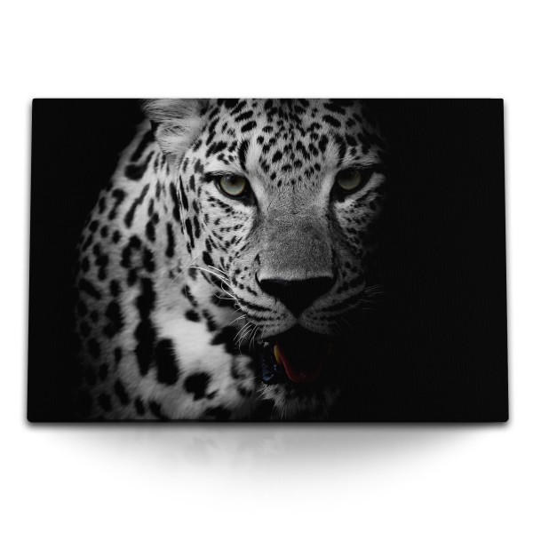 Paul Sinus Art 120x80cm Wandbild auf Leinwand Schwarz Weiß Tierfotografie Jaguar Raubkatze Raubtier