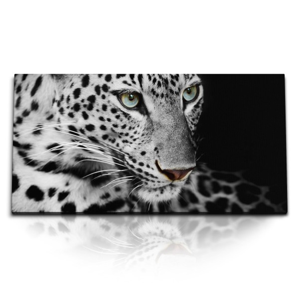 Paul Sinus Art Kunstdruck Bilder 120x60cm Tierfotografie Raubkatze Jaguar Schwarz Weiß