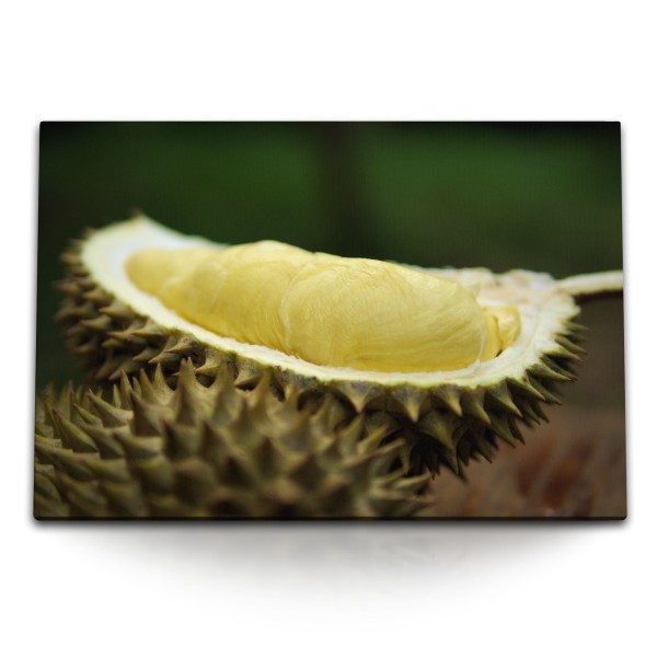 Paul Sinus Art 120x80cm Wandbild auf Leinwand Durian Frucht Exotisch Nahaufnahme Grün