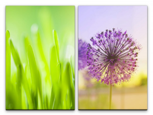 Paul Sinus Art 2 Bilder je 60x90cm Gras Grashalme Pusteblume Grün Violett Sommer Makro