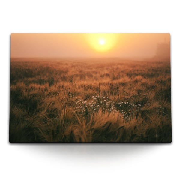 Paul Sinus Art 120x80cm Wandbild auf Leinwand Sonnenuntergang Weizenfeld Abendrot Feld Natur