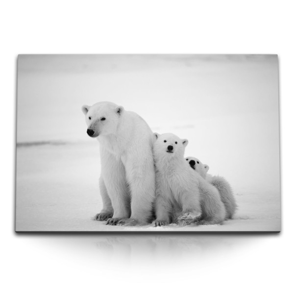 Paul Sinus Art 120x80cm Wandbild auf Leinwand Eisbären Eisbärenfamilie Nordpol Tierfotografie Schwarz Weiß