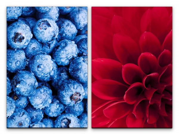 Paul Sinus Art 2 Bilder je 60x90cm Dahlie rote Blume Blaubeeren Wassertropfen Früchte Kunstvoll Makro