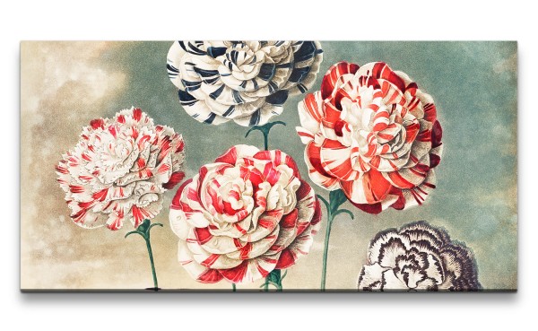 Paul Sinus Art Remaster 120x60cm Robert John Thornton A Group of Carnations Blumen Kunstvoll