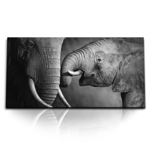 Paul Sinus Art Kunstdruck Bilder 120x60cm Elefanten Mutter mit Kind Tierfotografie Schwarz Weiß