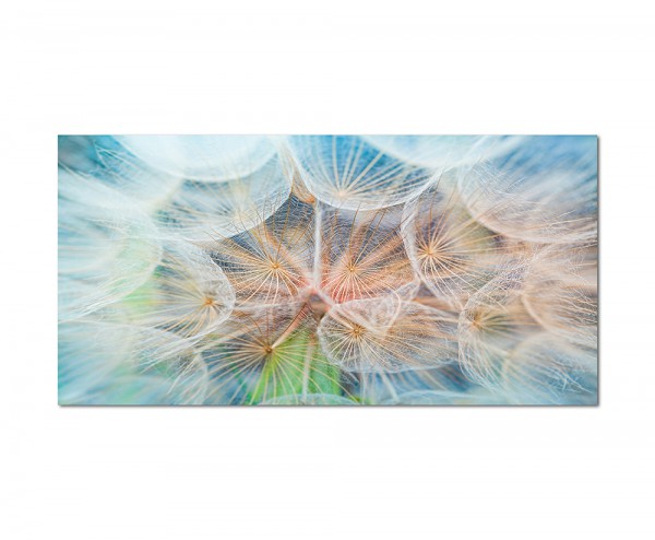 Paul Sinus Art 120x80cm Löwenzahn Pusteblume weich makro