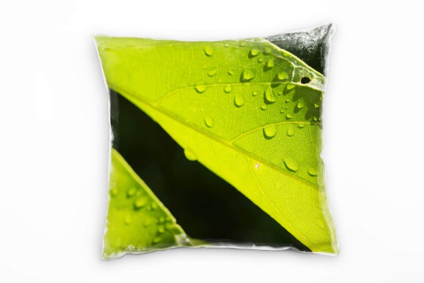 Paul Sinus Art Macro, Blatt, Wassertropfen, grün Deko Kissen 40x40cm für Couch Sofa Lounge Zierkissen