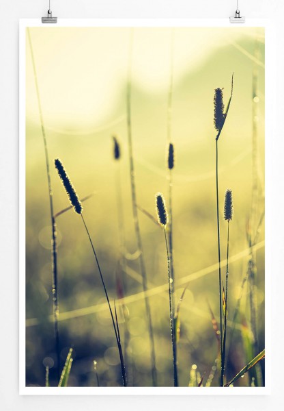 Paul Sinus Art Naturfotografie 60x90cm Poster Vintage Grasblüten