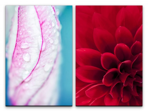 Paul Sinus Art 2 Bilder je 60x90cm Dahlie rote Blüte Wassertropfen Sommer Harmonisch Beruhigend Makrofotografie