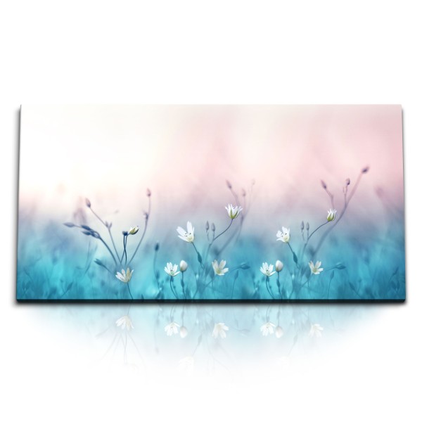 Paul Sinus Art Kunstdruck Bilder 120x60cm Weiße Blumen Blumenwiese Blau Kunstvoll