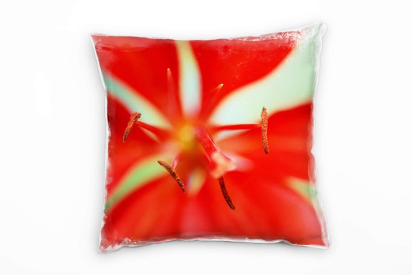 Paul Sinus Art Macro, Blumen, Blüte, rot, grün Deko Kissen 40x40cm für Couch Sofa Lounge Zierkissen