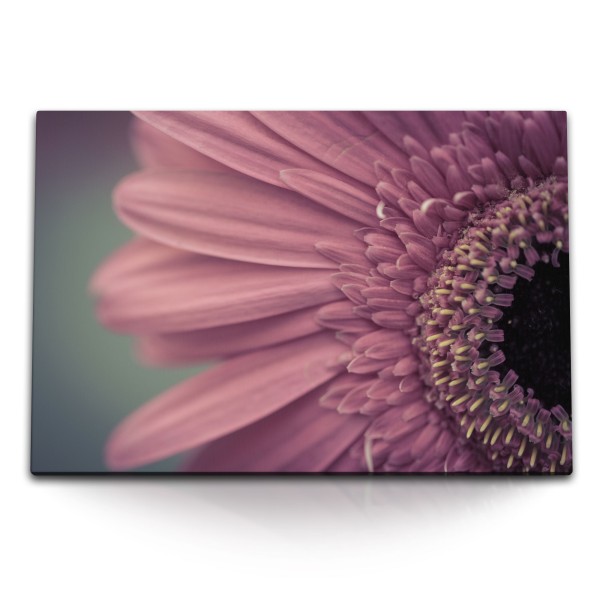 Paul Sinus Art 120x80cm Wandbild auf Leinwand Gerbera Blume Blüte Rosa Nahaufnahme Kunstvoll