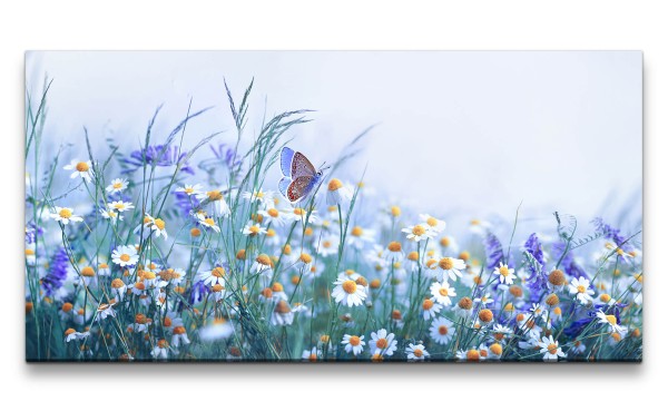 Paul Sinus Art Leinwandbild 120x60cm Sommerwiese Schmetterling Gänseblümchen Blumen Natur