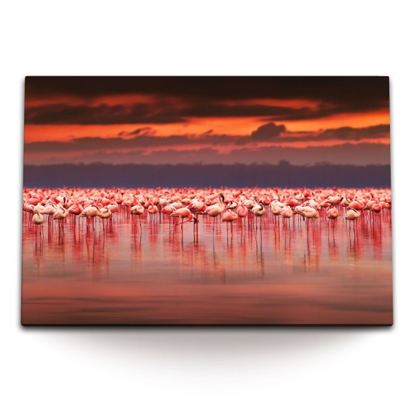 Paul Sinus Art 120x80cm Wandbild auf Leinwand Flamingos Rosa Meer roter Himmel Tierfotografie