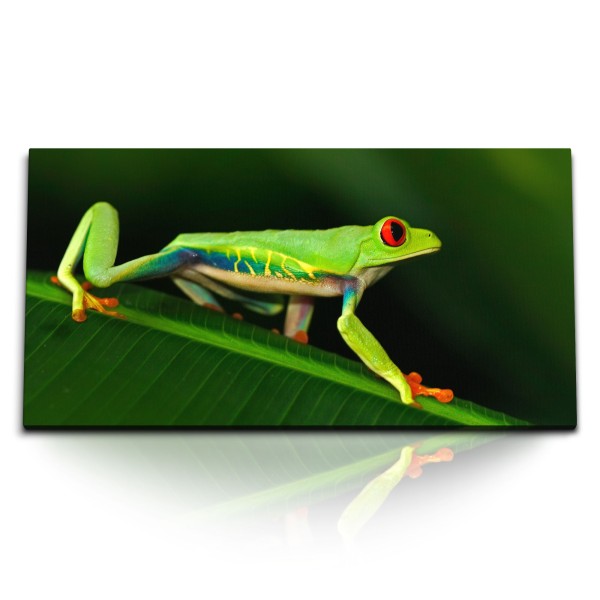 Paul Sinus Art Kunstdruck Bilder 120x60cm Frosch Tierfotografie Grün Dschungel Tropisch