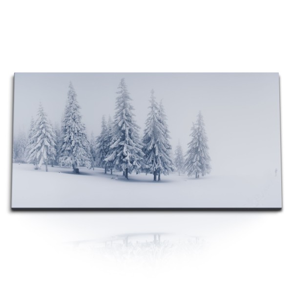 Paul Sinus Art Kunstdruck Bilder 120x60cm Winter Schnee Tannenbäume Tannenwald Weiß