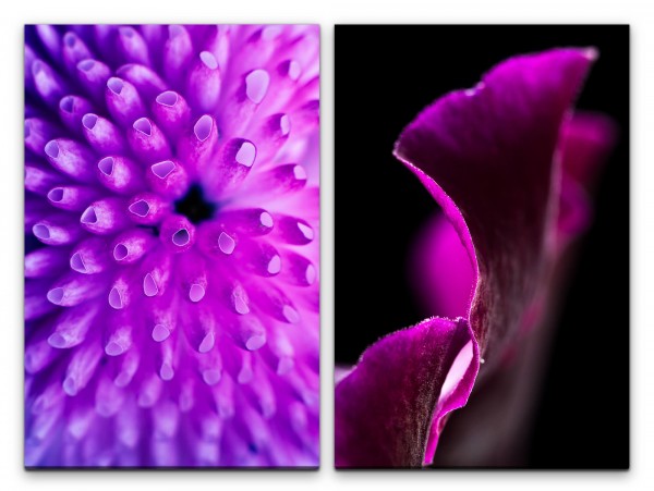 Paul Sinus Art 2 Bilder je 60x90cm Koralle Unterwasser Blüte Orchidee Nahaufnahme Fotokunst Violett