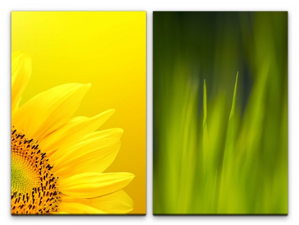 Paul Sinus Art 2 Bilder je 60x90cm Sonnenblume Gelb Grün Gras Makro Sommer Fotokunst